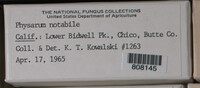 Image Associated With the Occurence